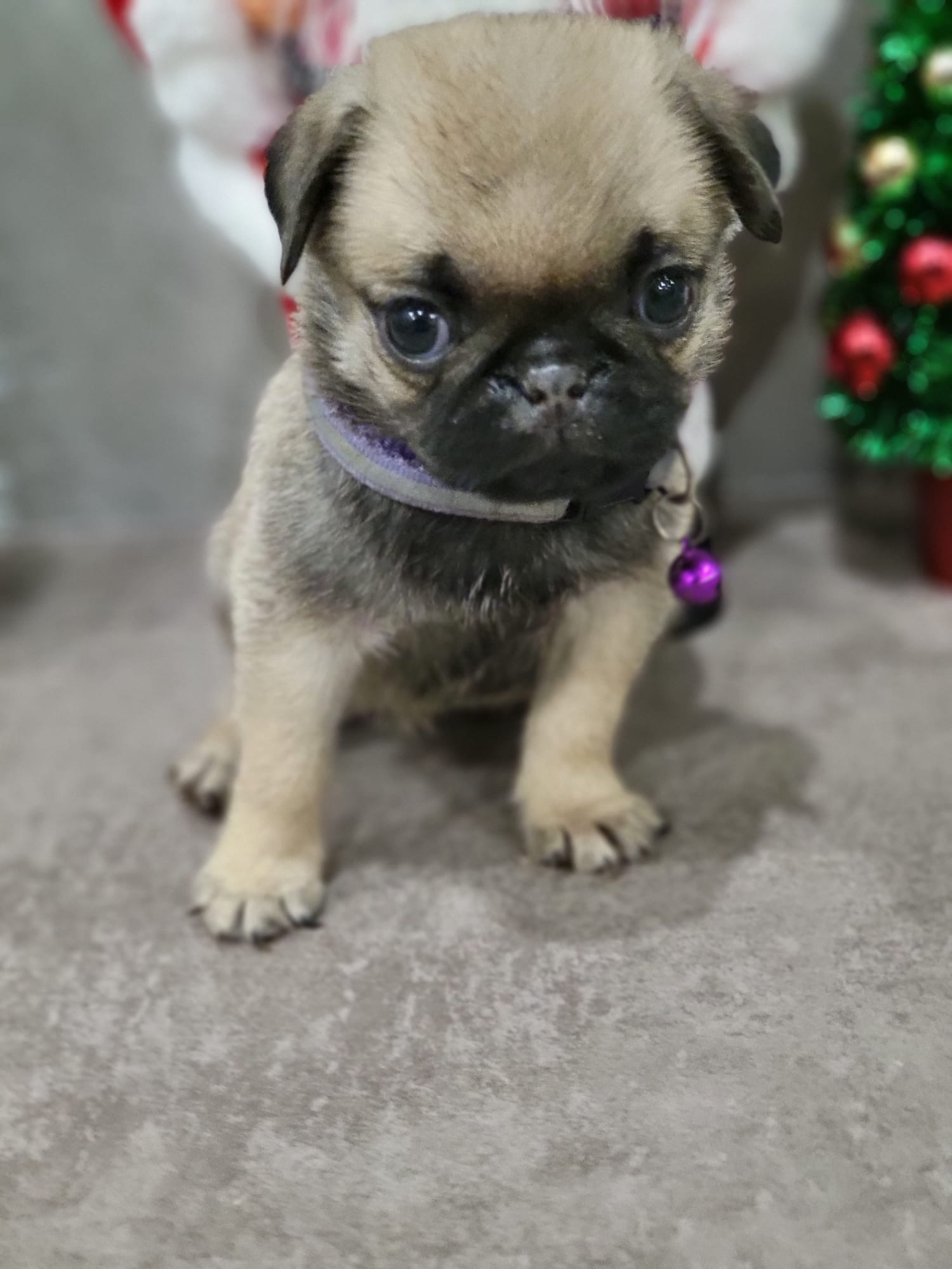 Max